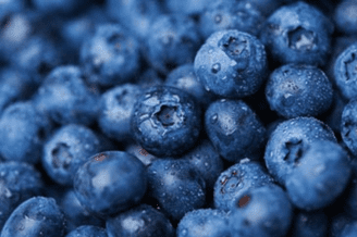 The Importance of Antioxidants